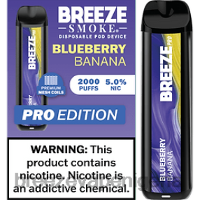 Blueberry Banana