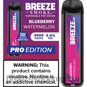 Blueberry Watermelon