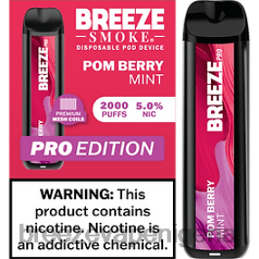 Pom Berry Mint