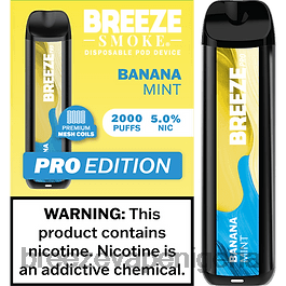 Breeze Vape Near Me - Breeze Pro 2000 Puffs Banana Mint HV66636