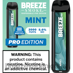 Breeze Vape Nigeria - Breeze Pro 2000 Puffs Mint HV66620